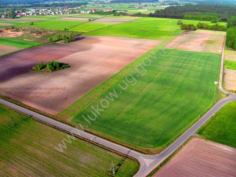 Lazy TSSE foto_5.jpg